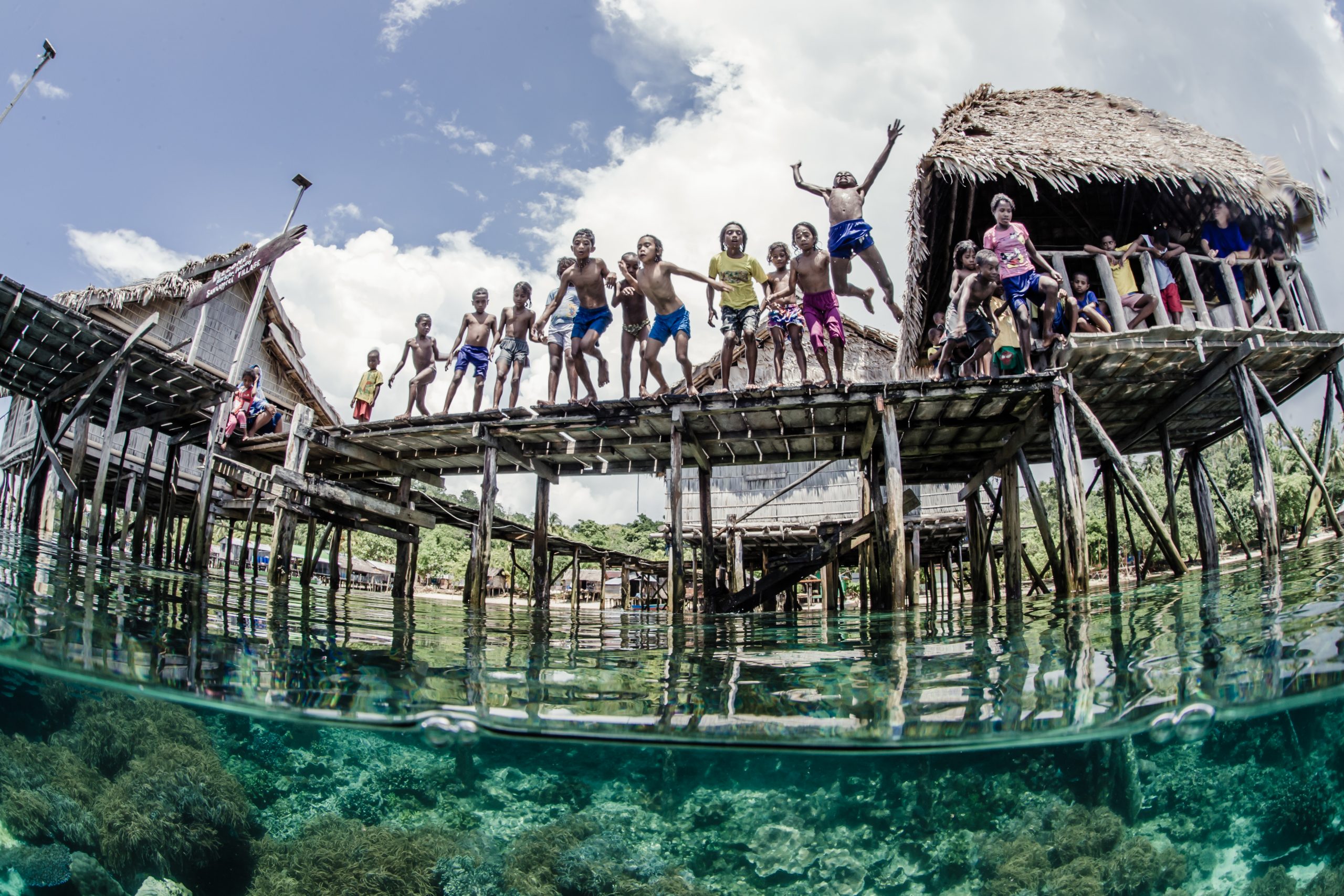 图片:Shawn Heinrichs